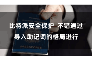 比特派安全保护 不错通过导入助记词的格局进行