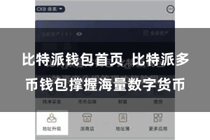 比特派钱包首页 比特派多币钱包撑握海量数字货币