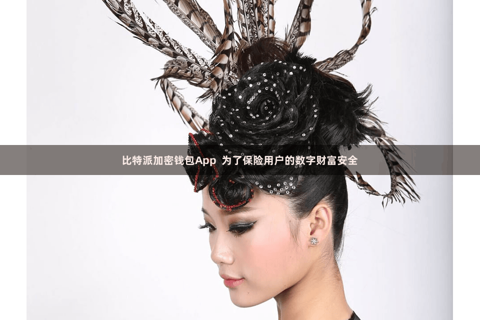 比特派加密钱包App  为了保险用户的数字财富安全