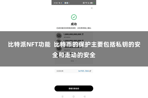 比特派NFT功能  比特币的保护主要包括私钥的安全和走动的安全