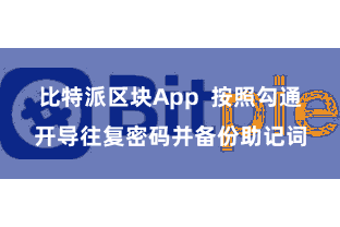 比特派区块App  按照勾通开导往复密码并备份助记词