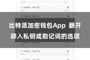 比特派加密钱包App  翻开辟入私钥或助记词的选项