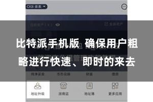 比特派手机版  确保用户粗略进行快速、即时的来去