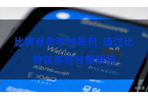 比特派数字链钱包  通过比特派多链经管系统