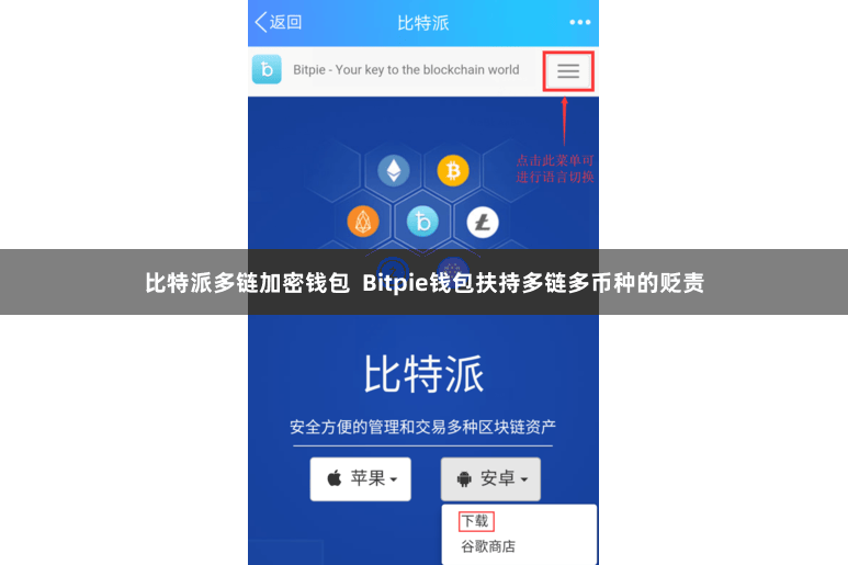 比特派多链加密钱包  Bitpie钱包扶持多链多币种的贬责