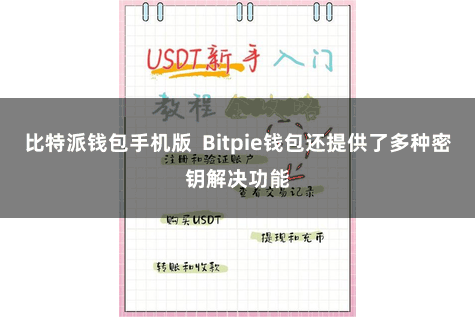 比特派钱包手机版  Bitpie钱包还提供了多种密钥解决功能