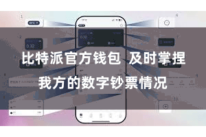 比特派官方钱包  及时掌捏我方的数字钞票情况