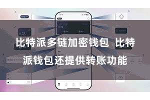 比特派多链加密钱包  比特派钱包还提供转账功能