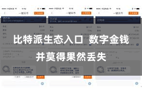 比特派生态入口  数字金钱并莫得果然丢失