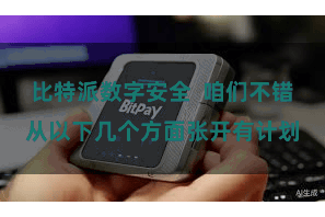 比特派数字安全  咱们不错从以下几个方面张开有计划